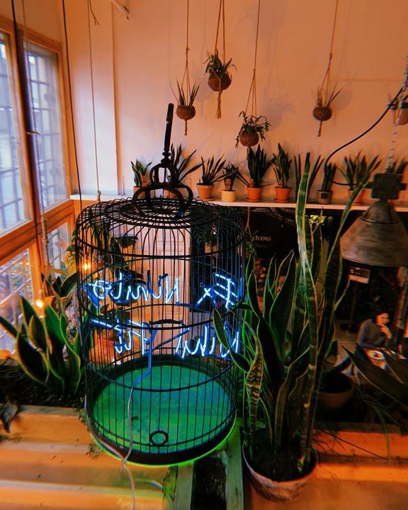 The Greens - Coffee and Plants