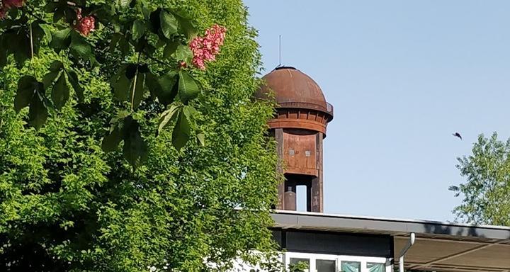 Süden Gartenwirtschaft