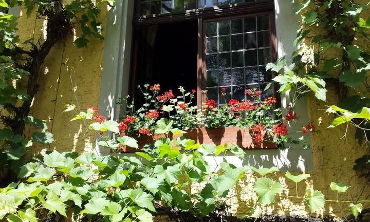 Winzerstube zum Becher