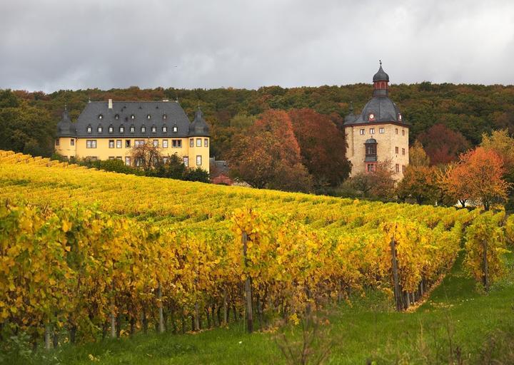Schloss Vollrads