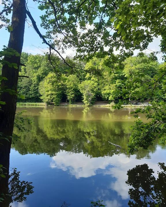 Restaurant Zum Seeblick
