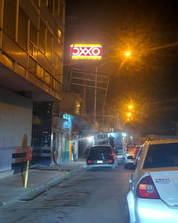 Papillon