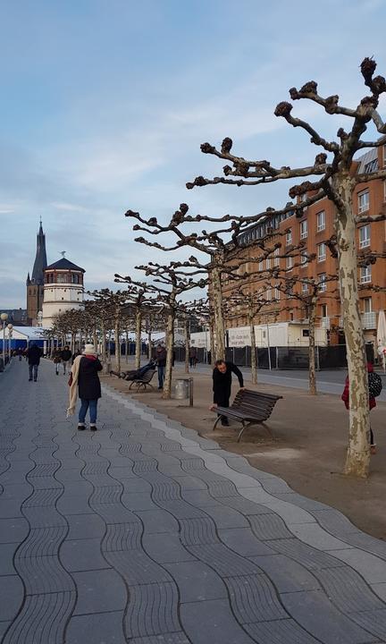 Sausalitos Düsseldorf