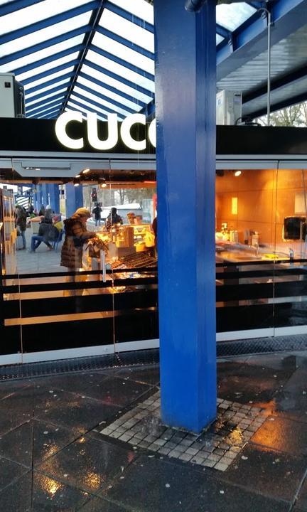 Cuccis