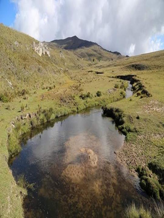 Paramo