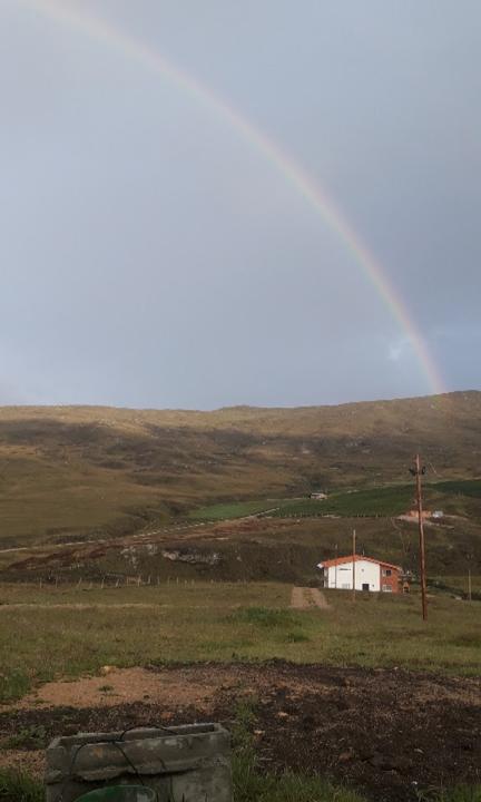 Paramo