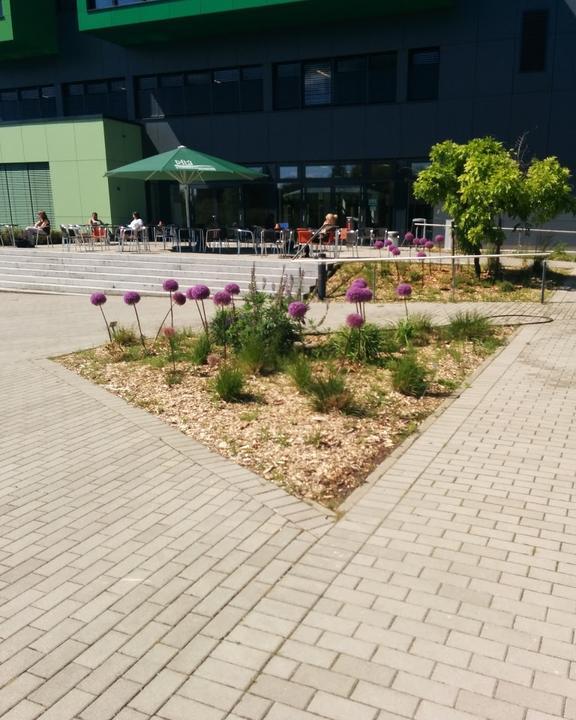 Mensa Botanischer Garten