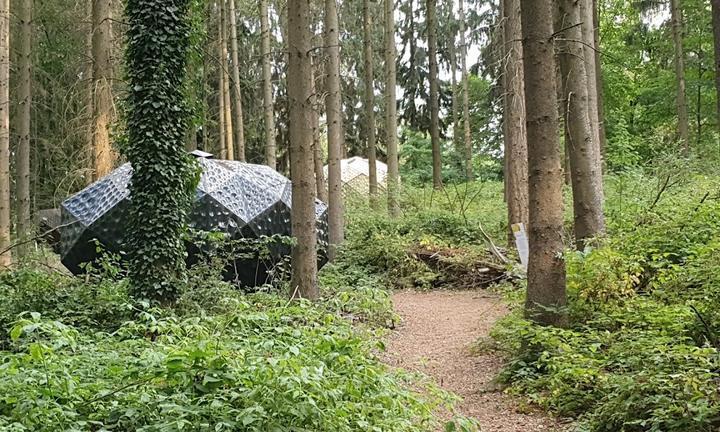 Forsthaus Neuhaus Restaurant