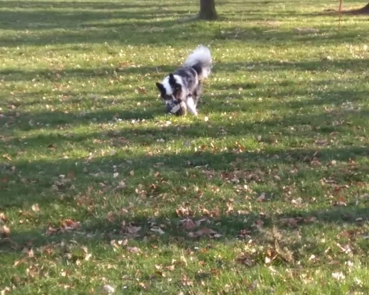 Cafè Koppelschleuse