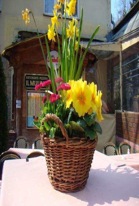 Ristorante Pizzeria Il Mulino