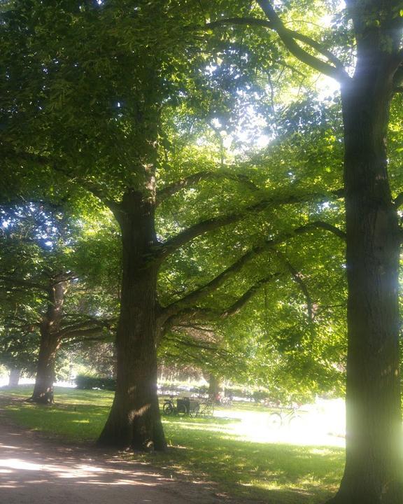 Café im Kurpark