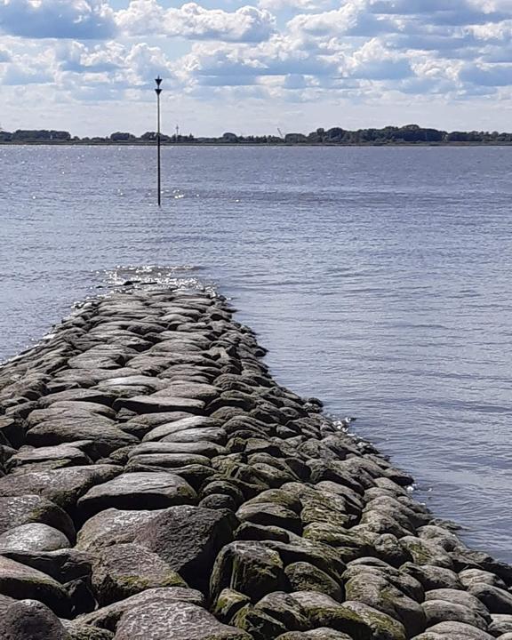 Strandfloh Kollmar