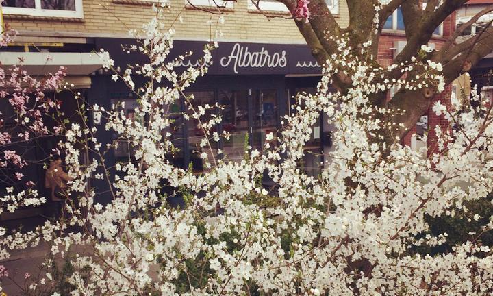 Albatros Cafe