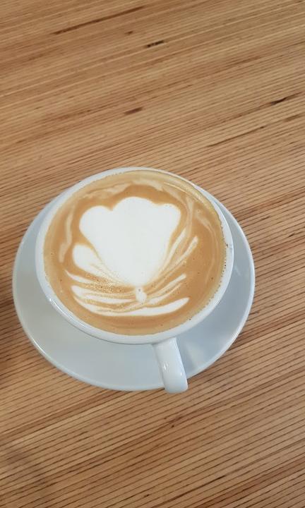 Chamelion Coffee