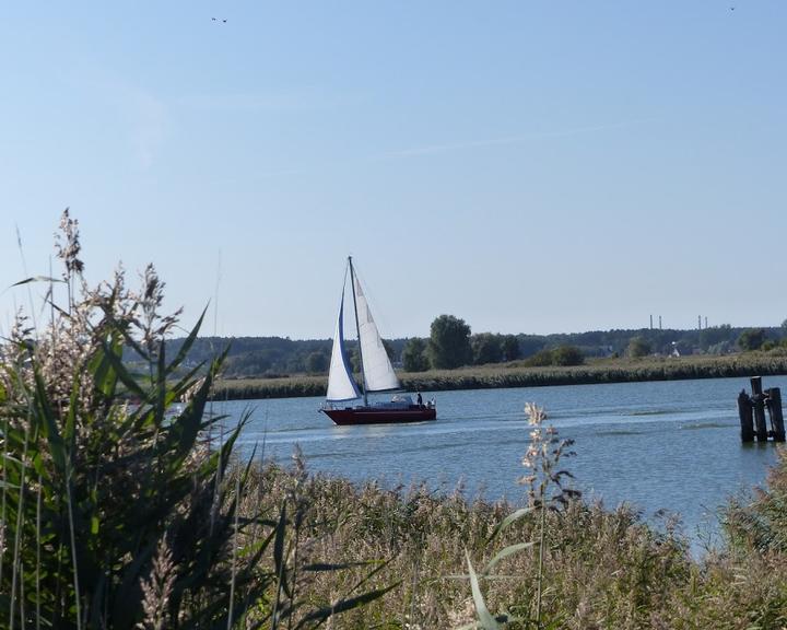 Hafenbar zum dünnen Hering