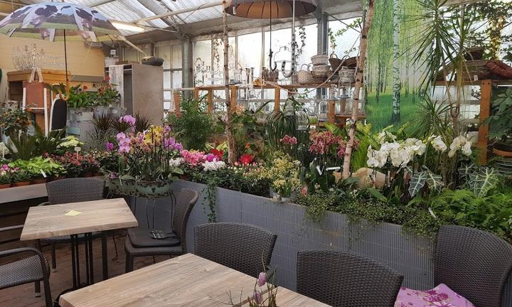 Cafe Lowenzahn