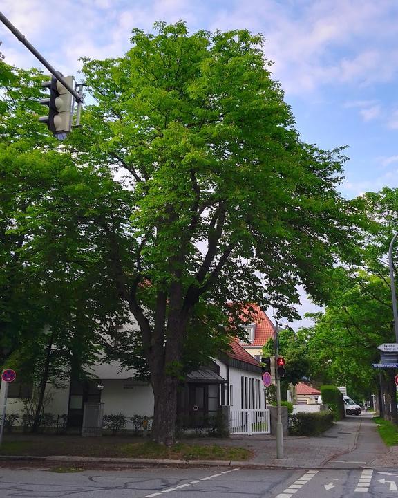 Cafe am Memminger Platz