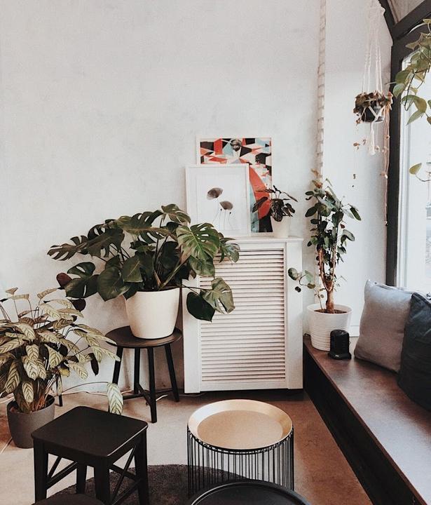 Calm Coffee