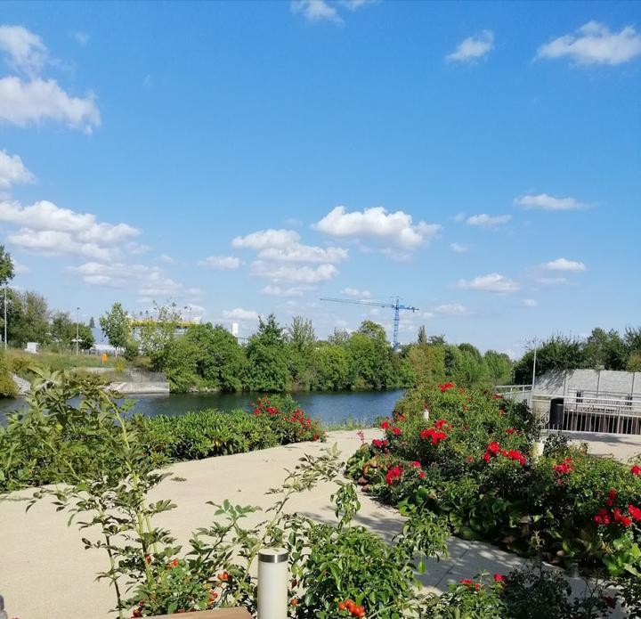 Hafen Domizil