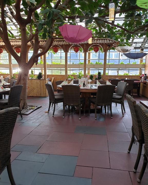 Bambus-Garten