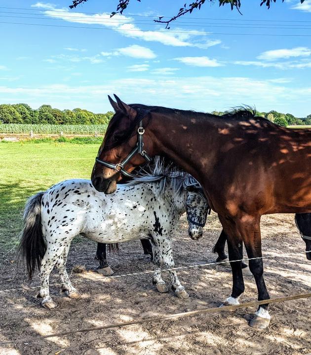 Bauerncafe Binnenheide