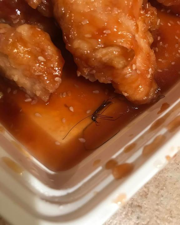 Mister Peking Duck