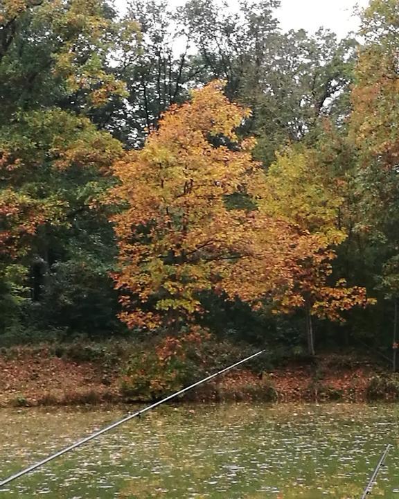Landcafe Feuerschutz