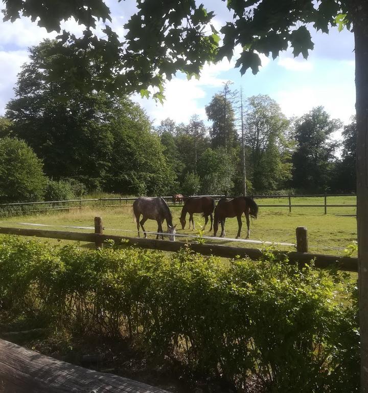 Waldschaenke Im Zuschlag