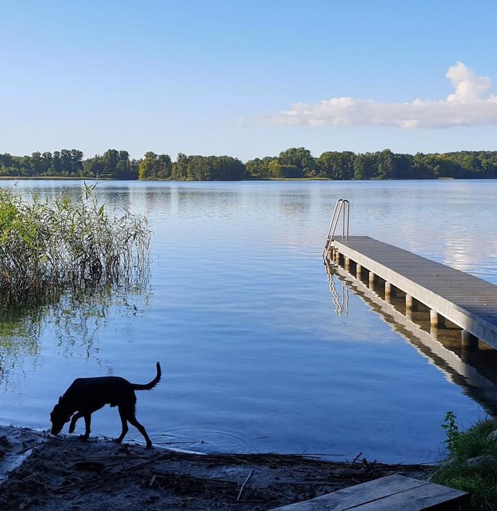 Seeblick Lassahn