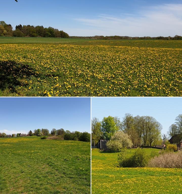 Seeblick Lassahn