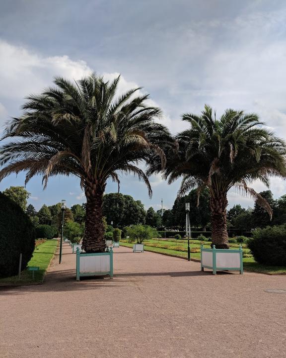 Orangerie