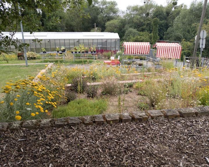 Café Orangerie Aukamm / DBS gGmbH