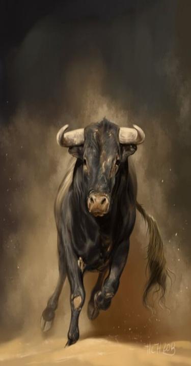 Steakhouse Oro Negro