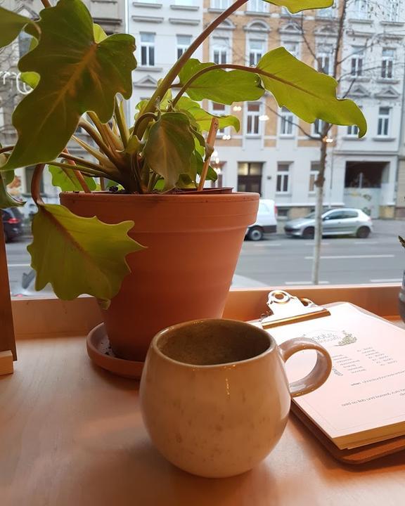 roots. Pflanzencafé