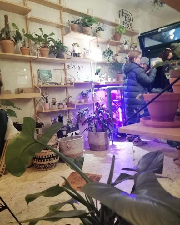 roots. Pflanzencafé