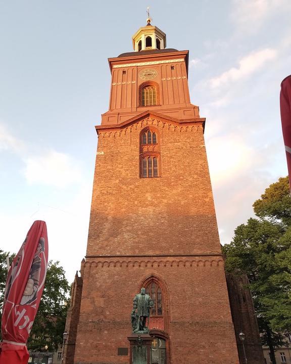 Satt und Selig