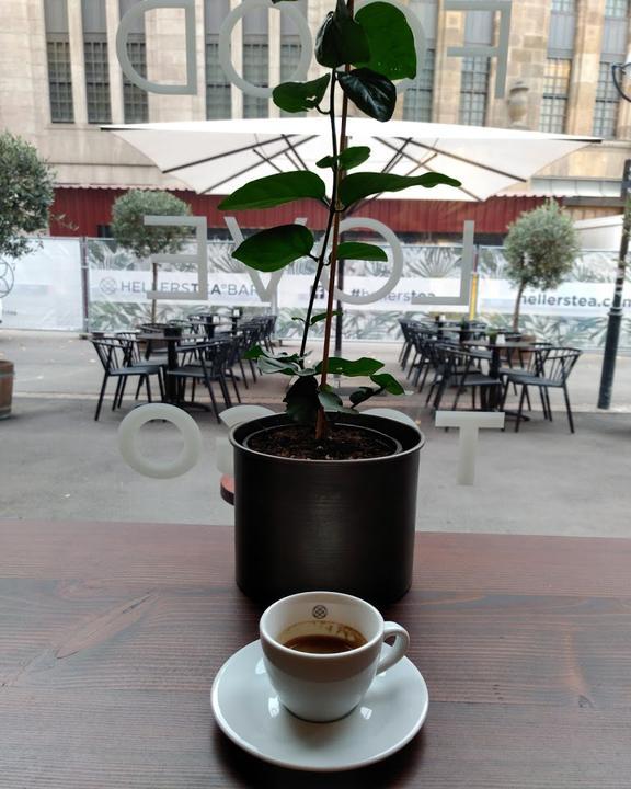 HELLERSTEA° BAR