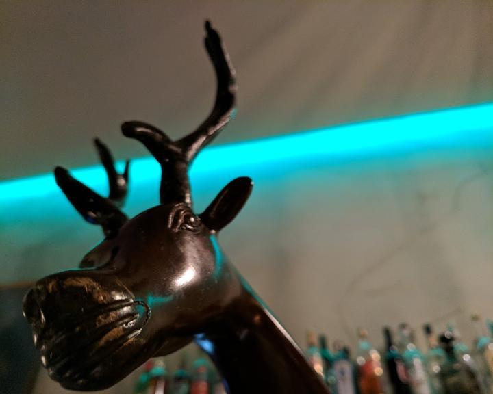 Der neue Platzhirsch