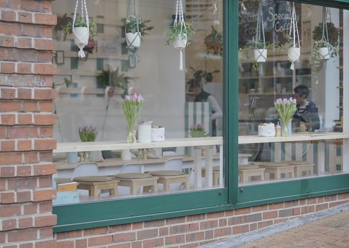 The Special Connection