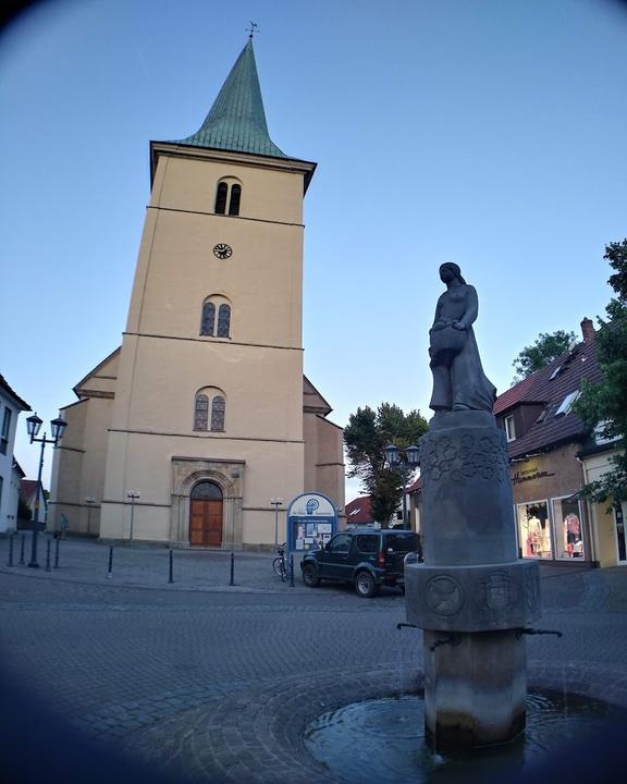 Die Knolle