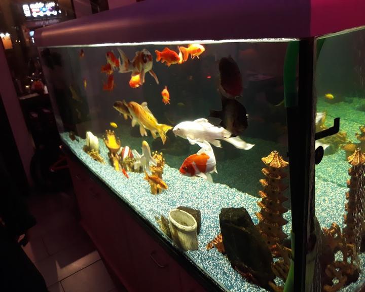 Sashimi Sushi Lounge