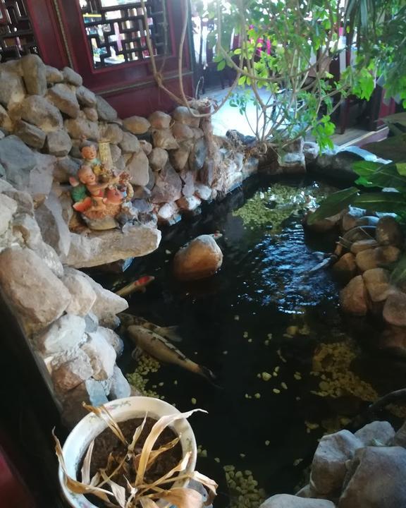 China Garden