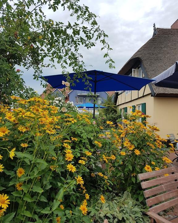 Café Rosengarten