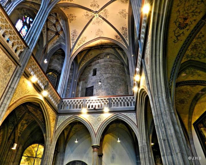 Rose am Dom