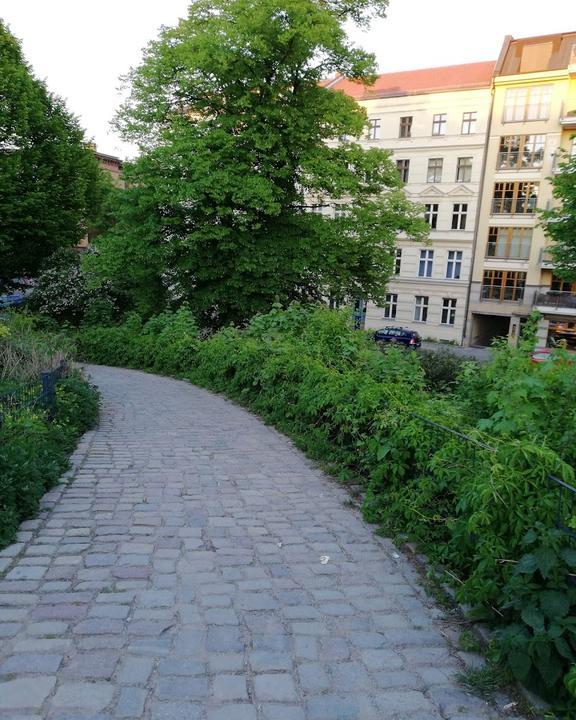 Sommergarten am Wasserturm