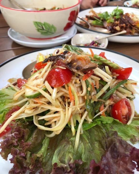 Krapao Thai Bistro
