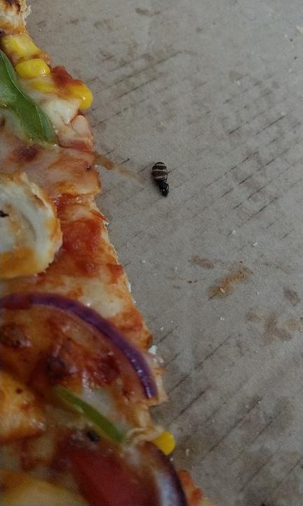 Domino's Pizza Berlin Marzahn