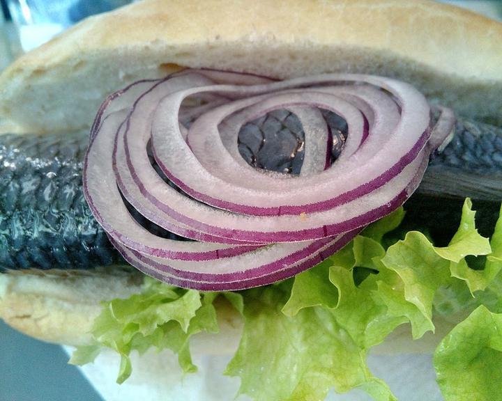 54 Nord Fisch & Meeh.h.r