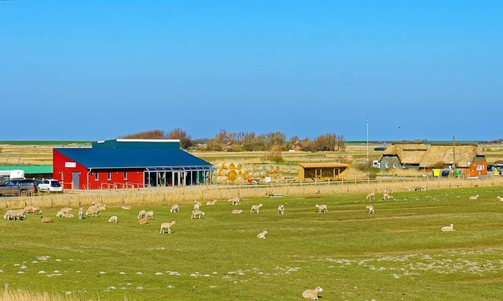 Imbiss am Deich - Westerhever bi Silke & Theo