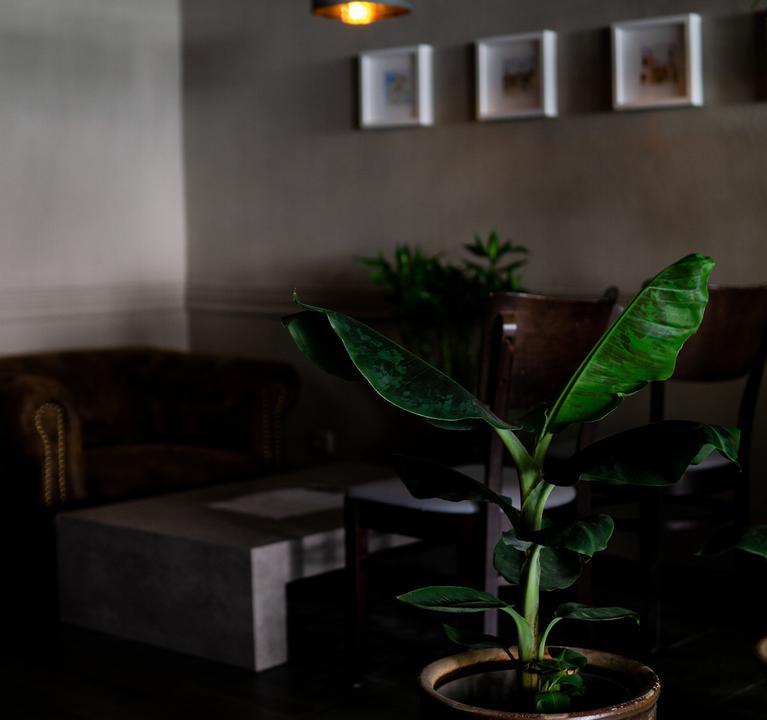 Nhà Tôi Restaurant